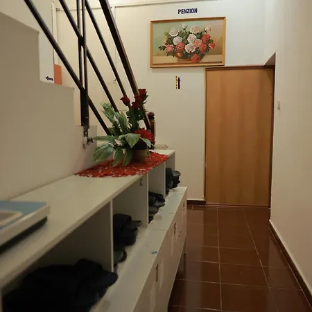 Benesova Gasthof 3*